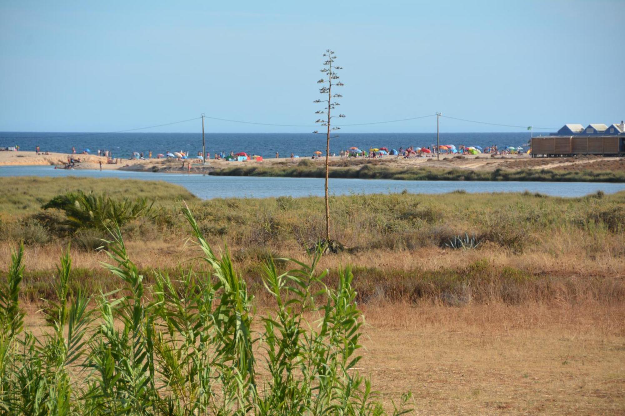 Praia Dria Armação de Pêra المظهر الخارجي الصورة